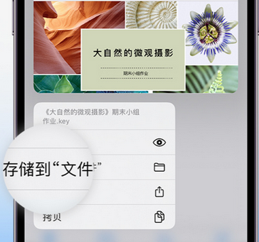 鹤山apple维修中心分享iPhone文件应用中存储和找到下载文件