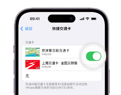 鹤山apple维修点分享iPhone上更换Apple Pay快捷交通卡手绘卡面 