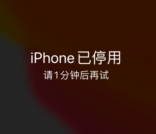 鹤山苹果手机维修分享:iPhone 显示“不可用”或“已停用”怎么办？还能保留数据吗？ 